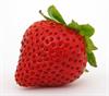 strawberry.jpg