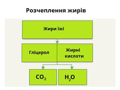 розчеплення жирів.jpg