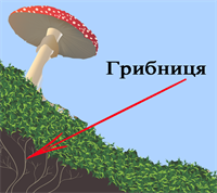 п6.png