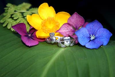 claddagh-rings-pix.jpg