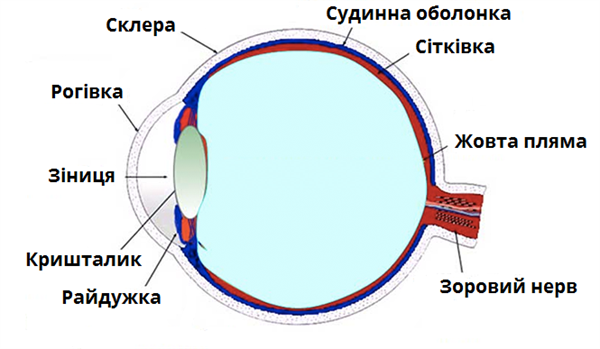 Портал ока фм серпуховского