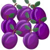 8c.png