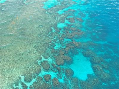 great-barrier-reef-2 pix.jpg