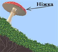 б2.png
