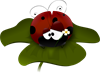 ladybug-48082_1280.png