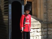 welsh-guardsman-843895_1920.jpg
