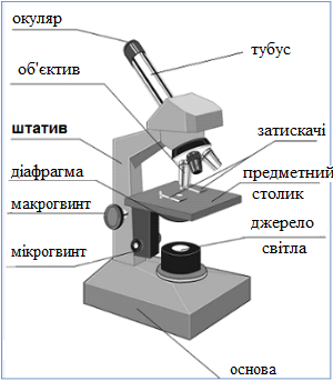 Функция предметного столика в микроскопе