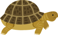 10Asset 11h250.png