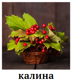 Знімок екрана 2024-02-09 203149.png