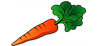 carrot-2985399_960_720.png