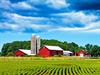 Shutterstock_85011913_farm_zemnieku saimniecība.jpg