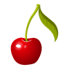 cherry-575547_960_720.png