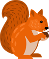 10Asset 28h250.png
