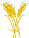 wheat-4755373_1280.png