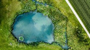 pond.jpg