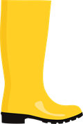 wellingtons2.png