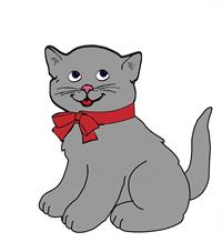 kitten-163627_640.jpg