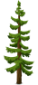 tree-576836_1280.png