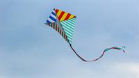 kite2.jpg