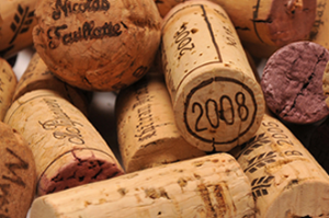 Cork web.png