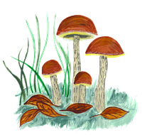 mushroom-6212169_1280.png