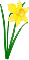 daffodil-23923_1280.png