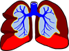 lungs-296392_1280.png