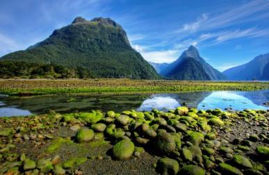 New-Zealand1.jpg