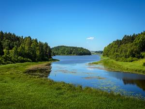 shutterstock_263598101.jpg