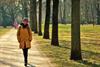 park-1712676_960_720.jpg