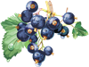 121141431__31_.png