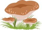 Ресурс 3(1).png