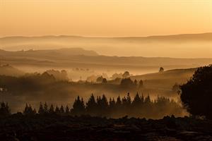 countryside.jpg