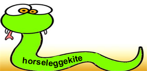 snake4_1_B.png