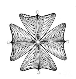 Abas5.jpg