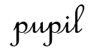 pupil_r2.png