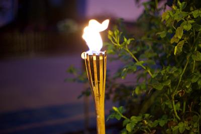 torch-pix.jpg