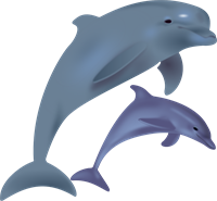 dolphins-158219_1280.png