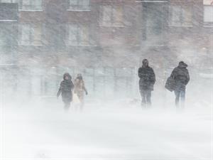 shutterstock_1419914921.jpg