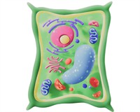 клітина 1.jpg