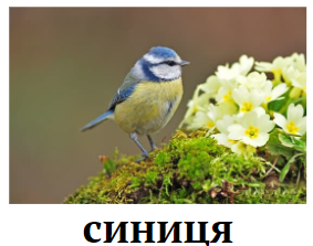 Знімок екрана 2024-02-10 170248.png