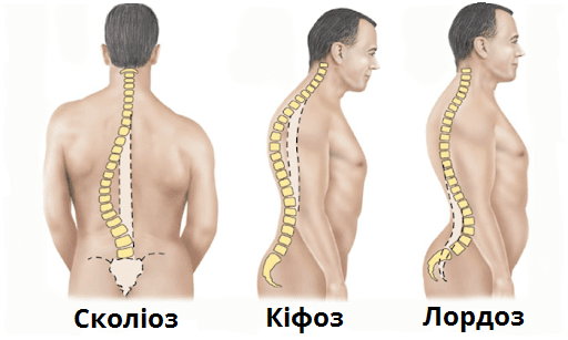 вади хребта.png