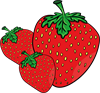 strawberry-2269525_960_720.png