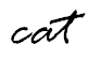 cat2.png